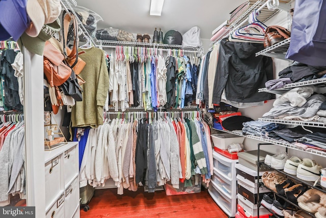 spacious closet featuring dark hardwood / wood-style floors