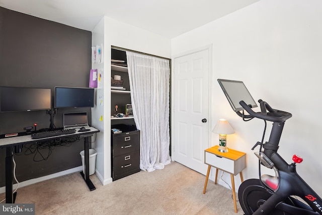 office area featuring light carpet