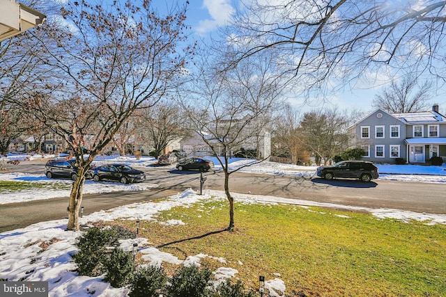 view of yard layered in snow