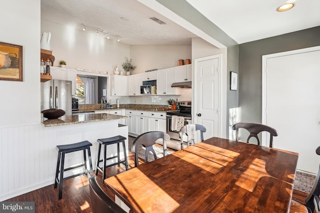 dining room featuring sink, high vaulted ceiling, and dark hardwood / wood-style floors