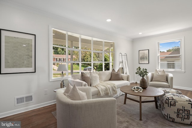 living room with crown molding and dark wood-type flooring