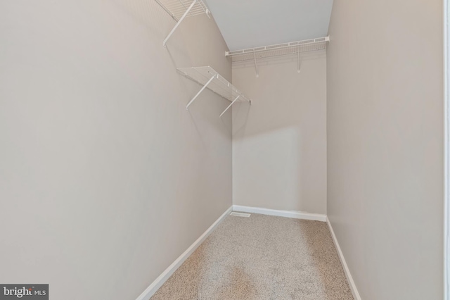 spacious closet featuring carpet