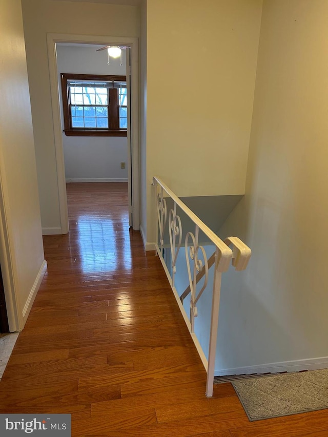 hallway with wood-type flooring