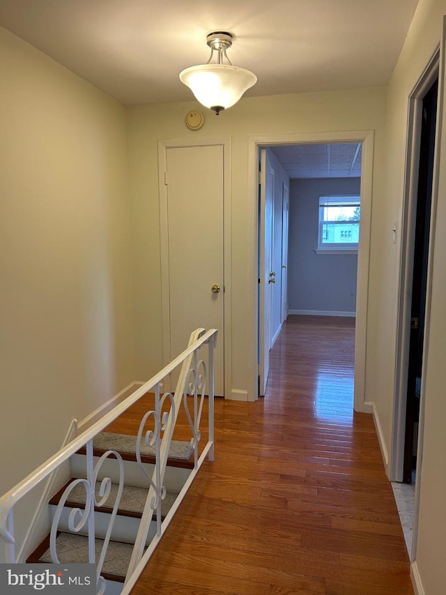 corridor featuring hardwood / wood-style floors