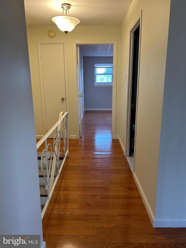 hallway with dark hardwood / wood-style flooring