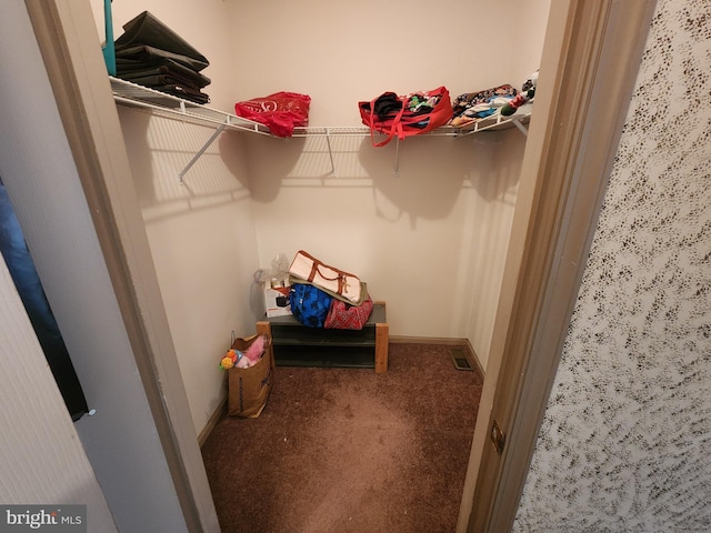 spacious closet featuring carpet floors