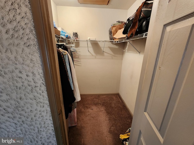 spacious closet with carpet