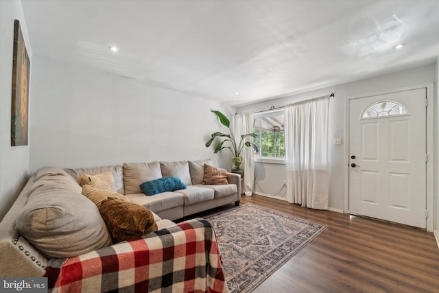 living room with dark hardwood / wood-style flooring