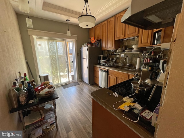 kitchen featuring appliances with stainless steel finishes, a raised ceiling, sink, exhaust hood, and pendant lighting