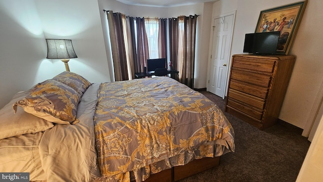 bedroom featuring dark colored carpet and a closet