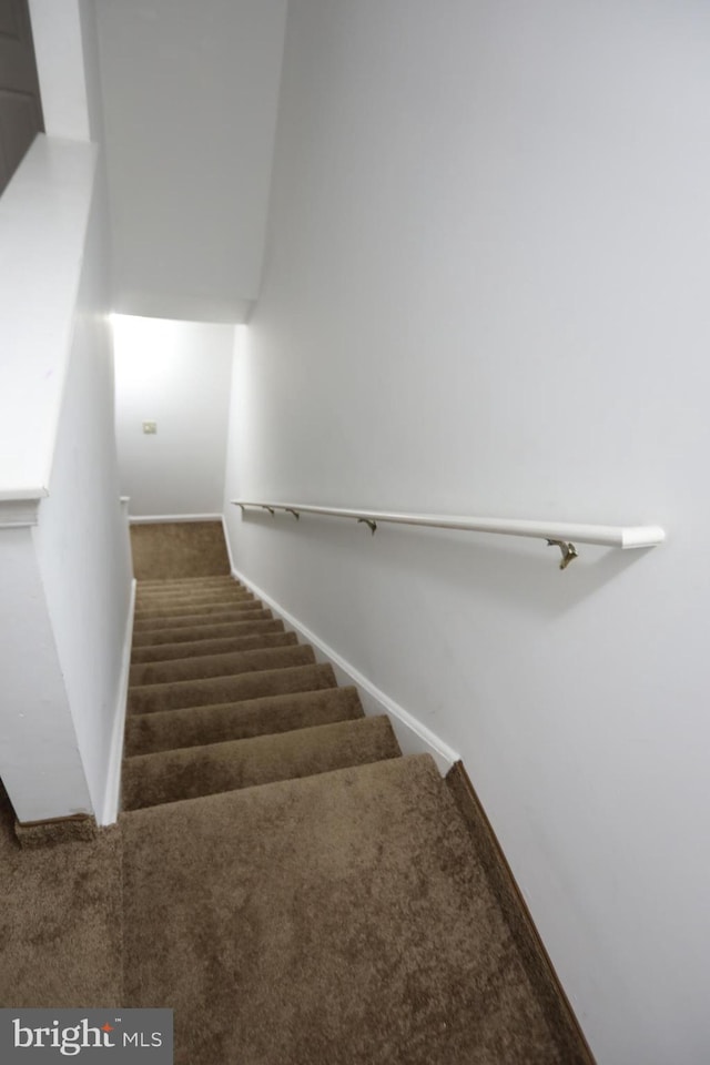 staircase featuring carpet flooring