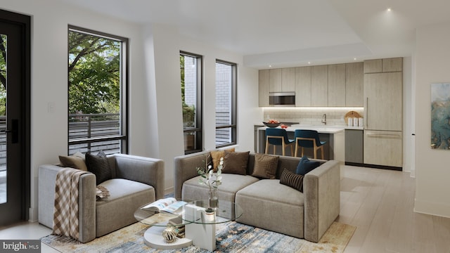 living room with light hardwood / wood-style floors