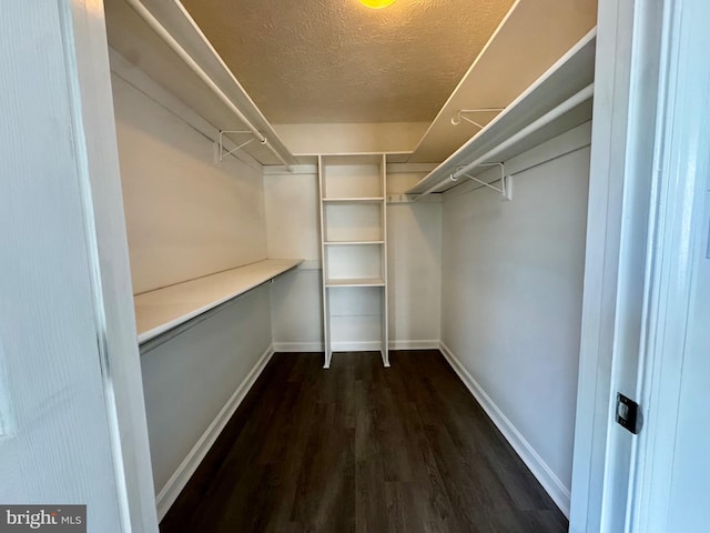 spacious closet with dark hardwood / wood-style floors