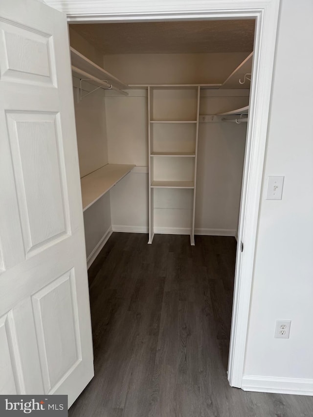 spacious closet with dark hardwood / wood-style flooring