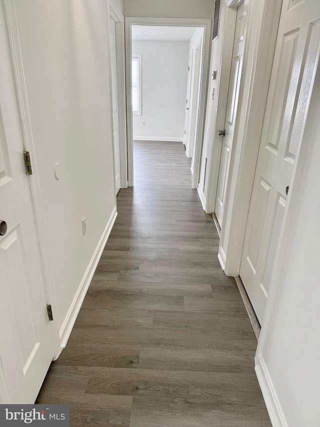 corridor featuring dark hardwood / wood-style flooring