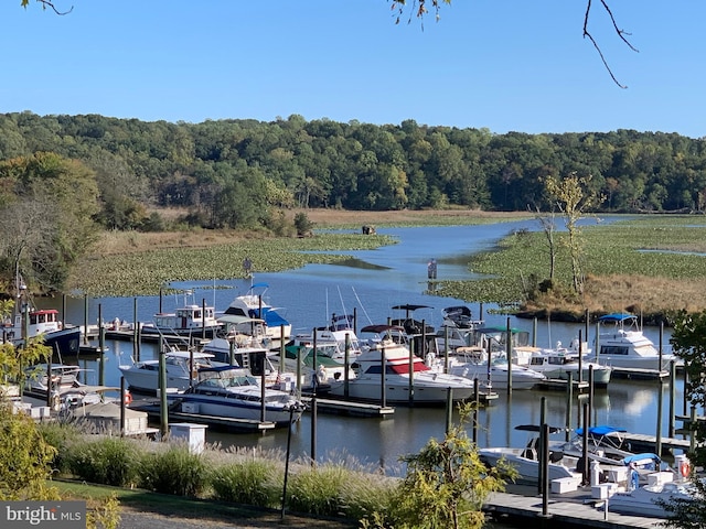 view of dock with a water view