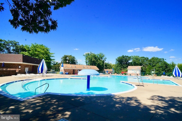 view of pool featuring a patio area