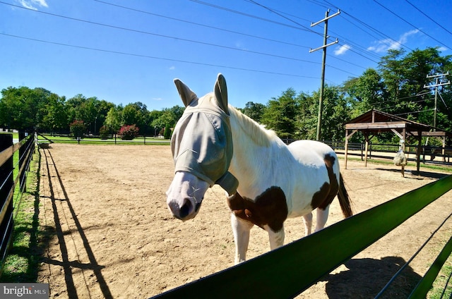 view of horse barn