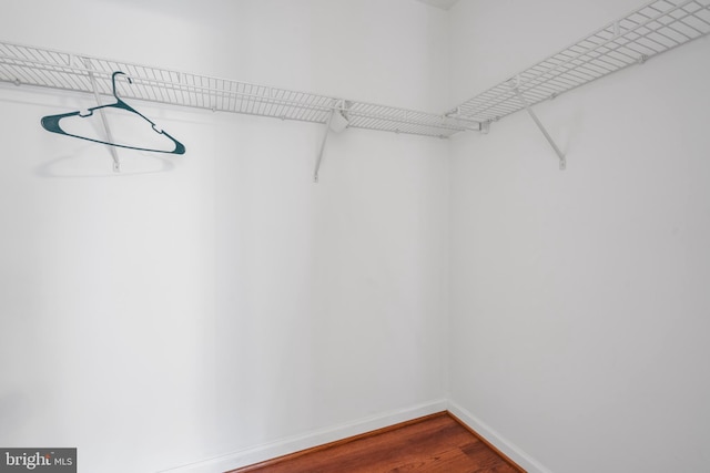 spacious closet with hardwood / wood-style floors