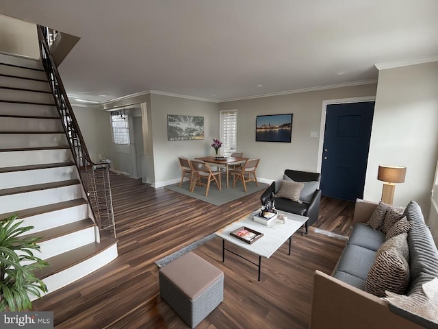 living room featuring crown molding and dark hardwood / wood-style flooring