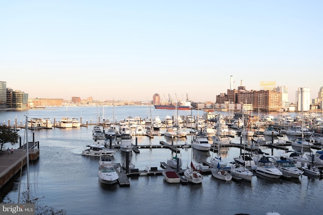 property view of water featuring a boat dock