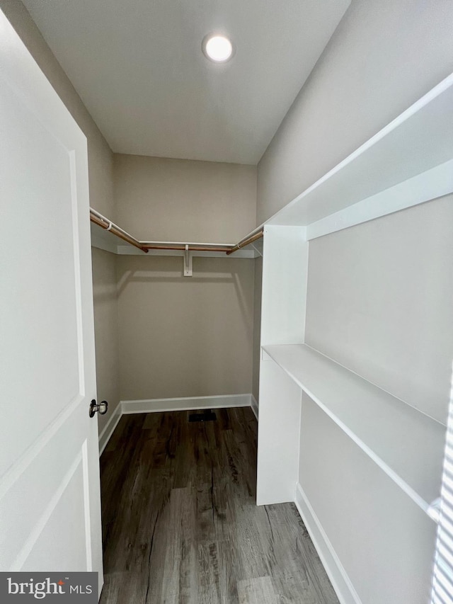 walk in closet with dark hardwood / wood-style floors