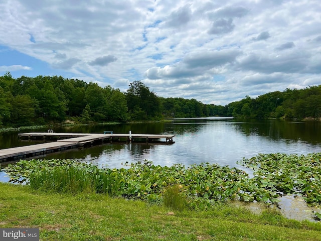 water view featuring a boat dock