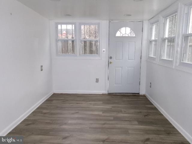 foyer entrance with dark hardwood / wood-style flooring