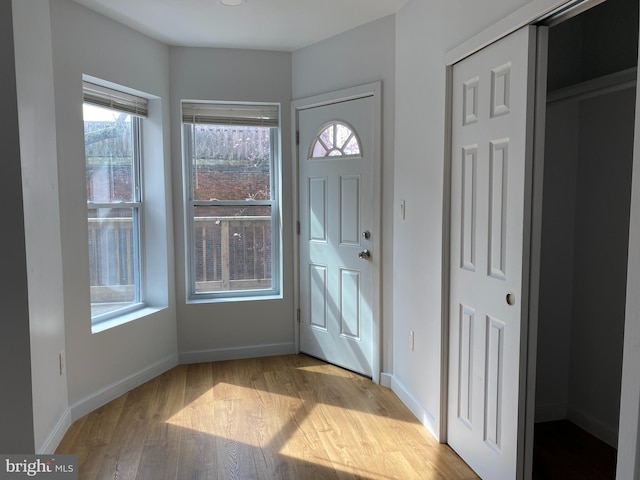 entryway featuring light hardwood / wood-style floors and a wealth of natural light