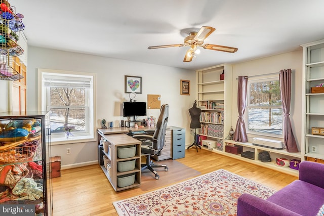 home office featuring ceiling fan and light wood-type flooring