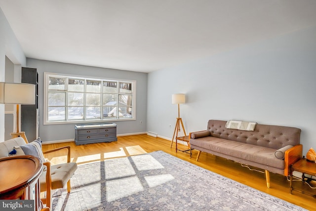 living room featuring light wood-type flooring