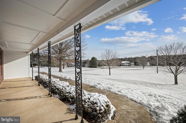 view of yard covered in snow