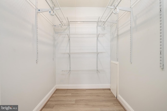 walk in closet featuring hardwood / wood-style floors