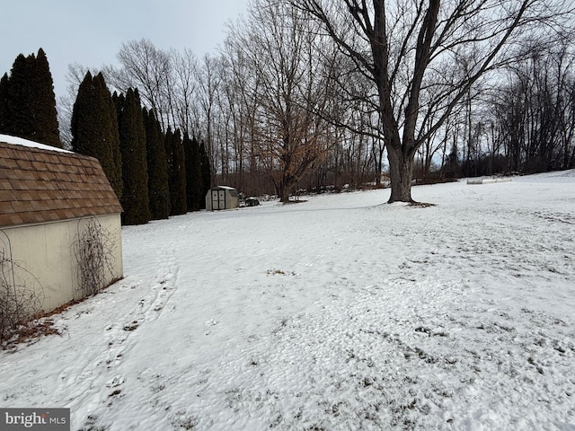 yard layered in snow featuring a storage shed