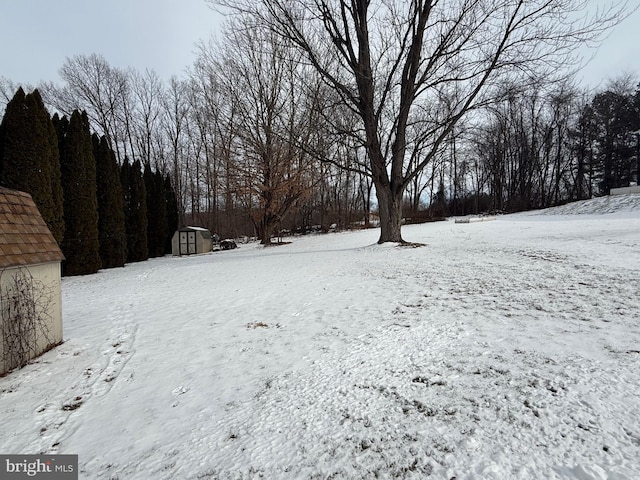 snowy yard with a storage unit