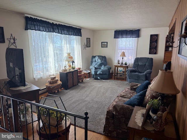 living room with a textured ceiling and a baseboard radiator