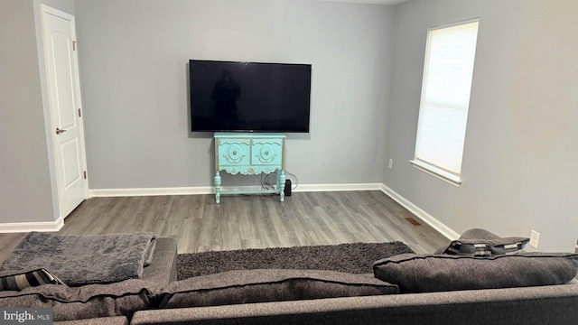 living room featuring wood-type flooring