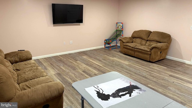 living room featuring hardwood / wood-style floors