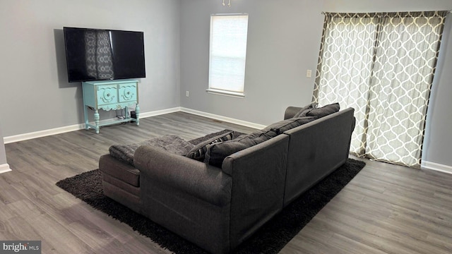 living room featuring wood-type flooring