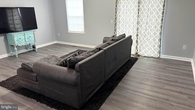 living room with hardwood / wood-style flooring