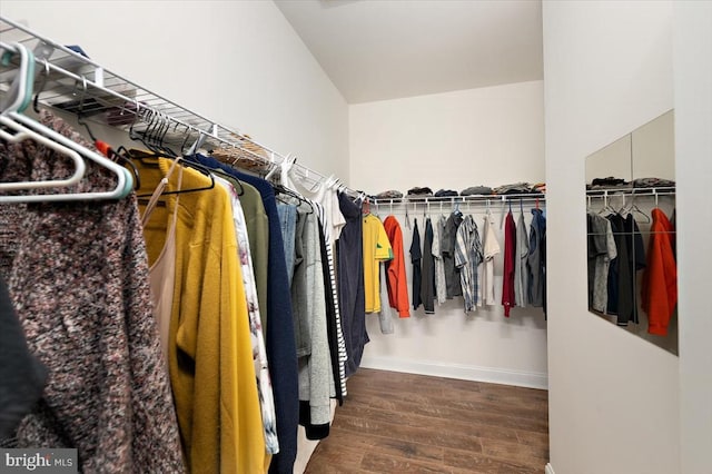 walk in closet featuring wood-type flooring