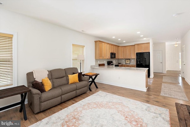 living room with light wood-type flooring, a healthy amount of sunlight, and sink