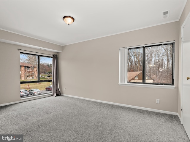 carpeted spare room featuring crown molding