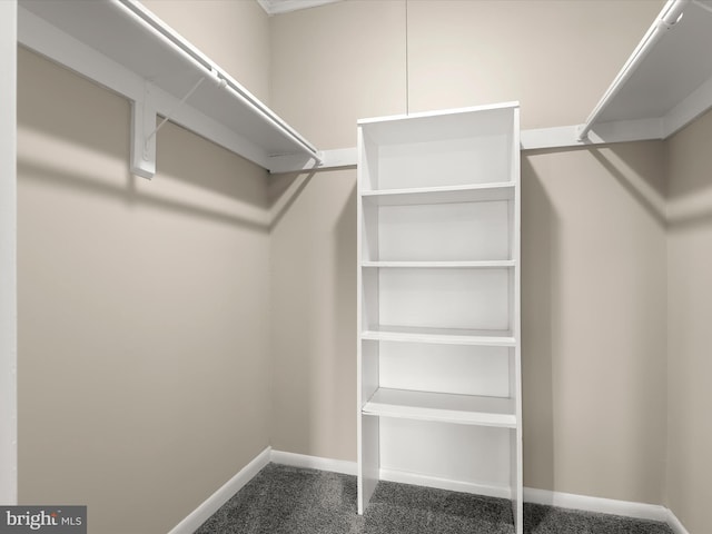 spacious closet with carpet floors