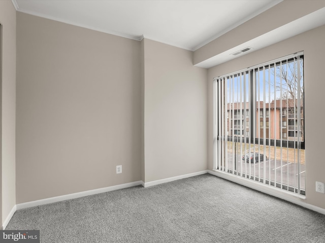 spare room featuring carpet flooring and crown molding