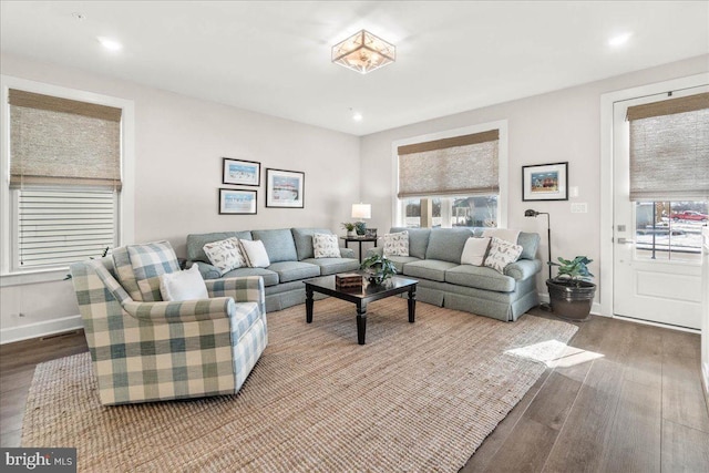 living room with hardwood / wood-style floors