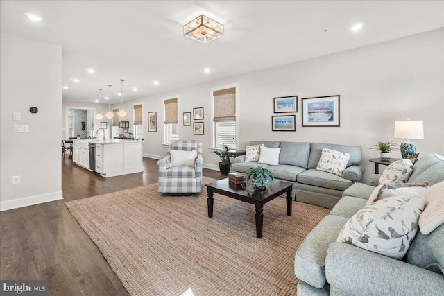 living room featuring hardwood / wood-style floors