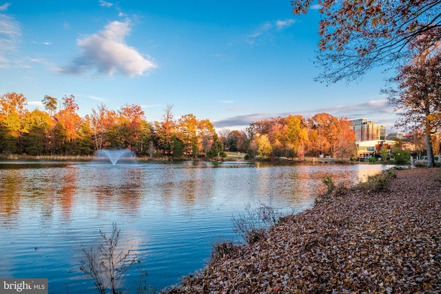 property view of water