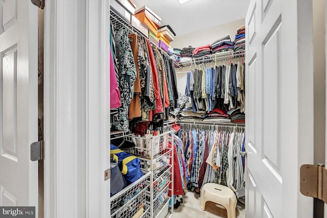 view of walk in closet