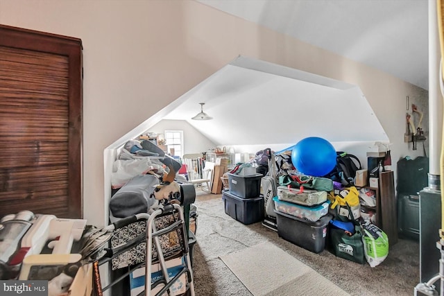 additional living space with vaulted ceiling and carpet floors